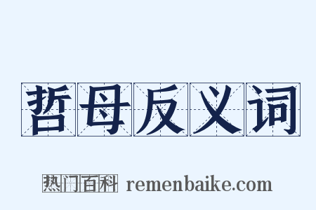 哲母反义词是什么意思的图片